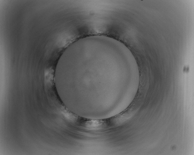 X0000102350672200808011205