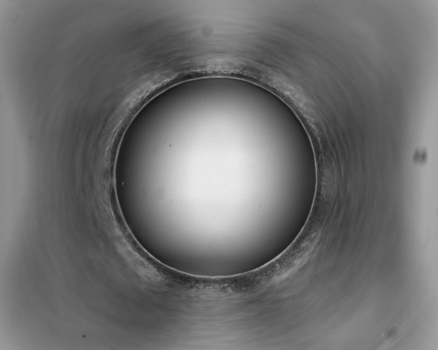 X0000102350673200808011204