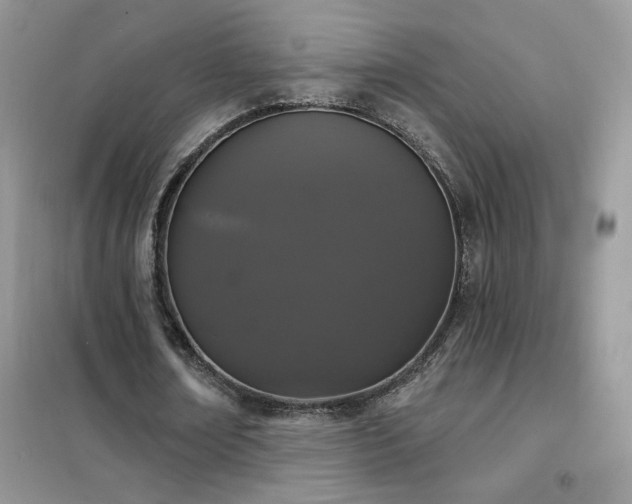 X0000102350674200808011204