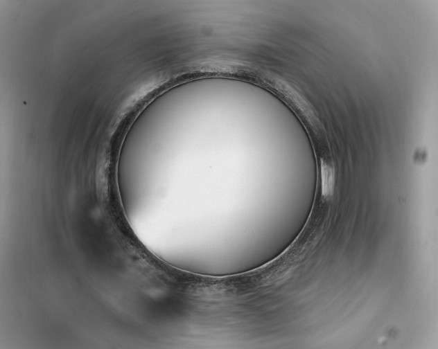 X0000102350675200808011204