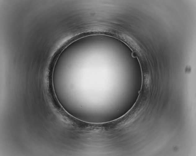 X0000102350676200808011204