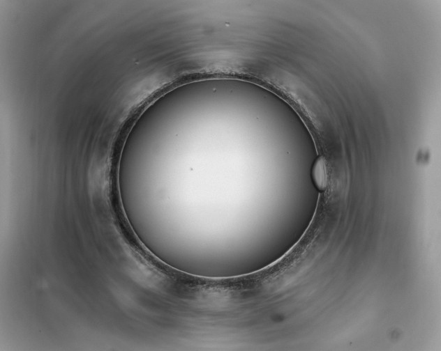 X0000102350677200808011204