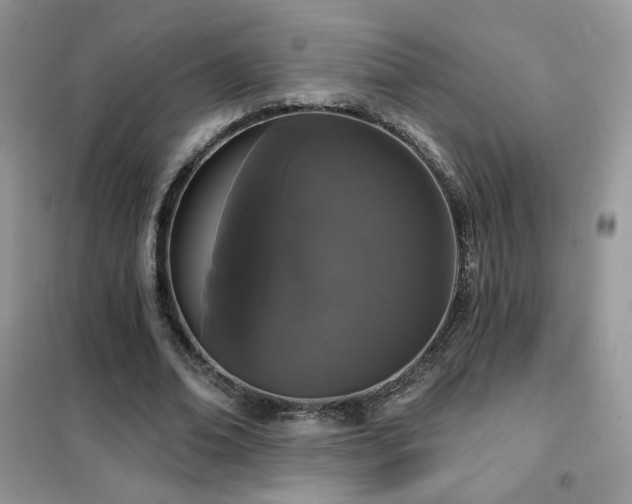 X0000102350678200808011204