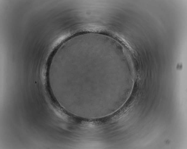 X0000102350679200808011204