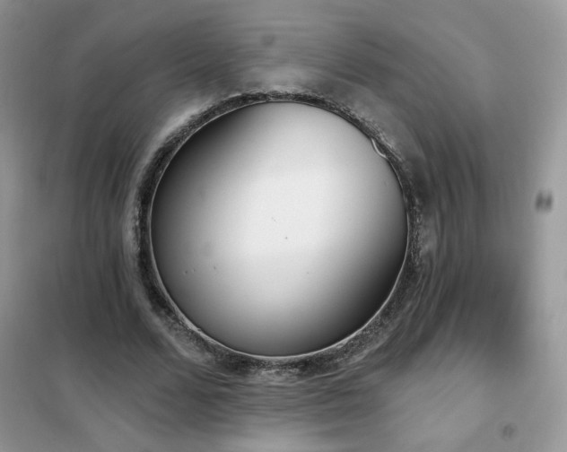 X0000102350680200808011204