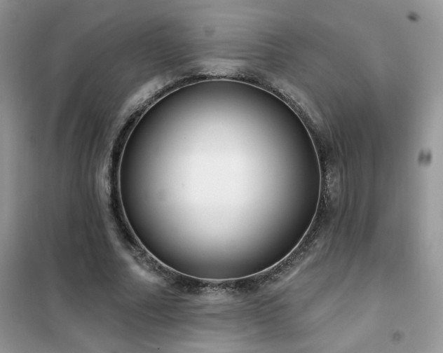 X0000102350682200808011204