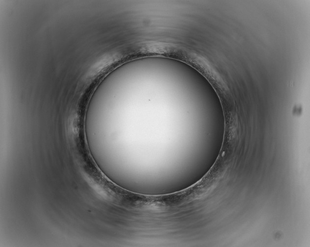 X0000102350683200808011204