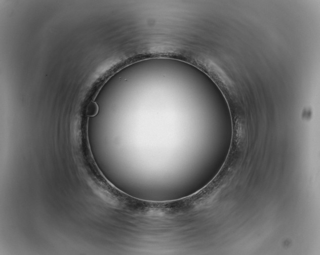 X0000102350684200808011204