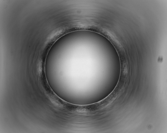 X0000102350685200808011204