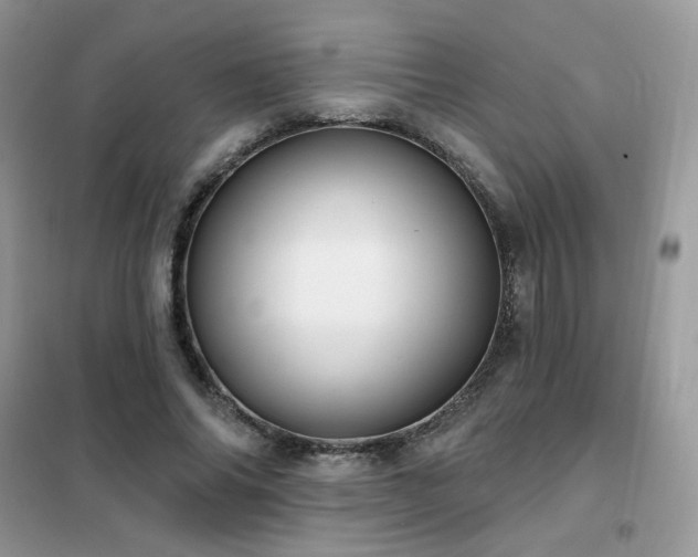 X0000102350686200808011204