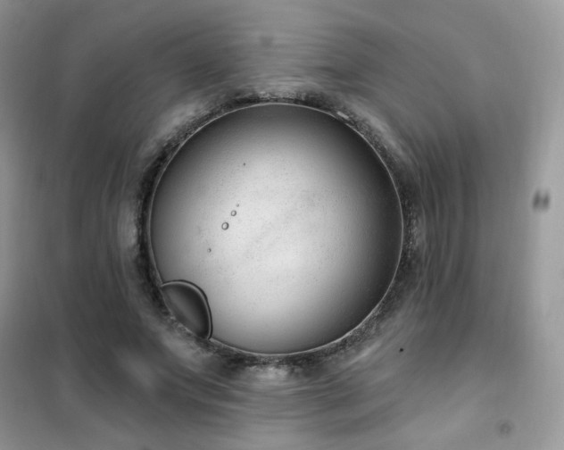 X0000102350687200808011204