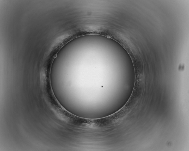 X0000102350688200808011204