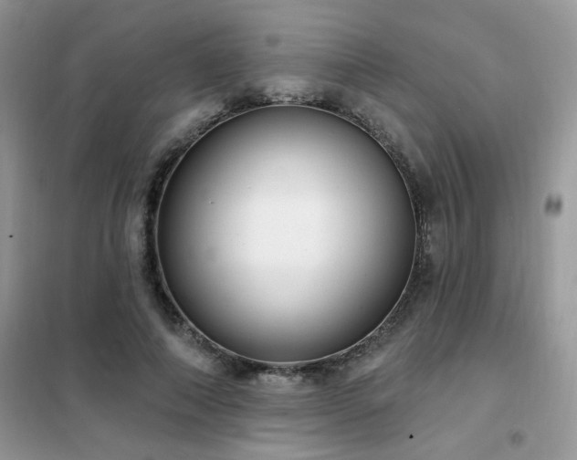 X0000102350690200808011204