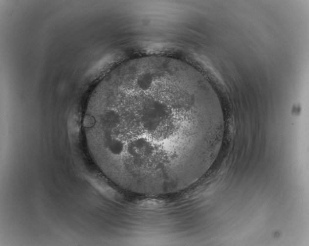 X0000102350691200808011204