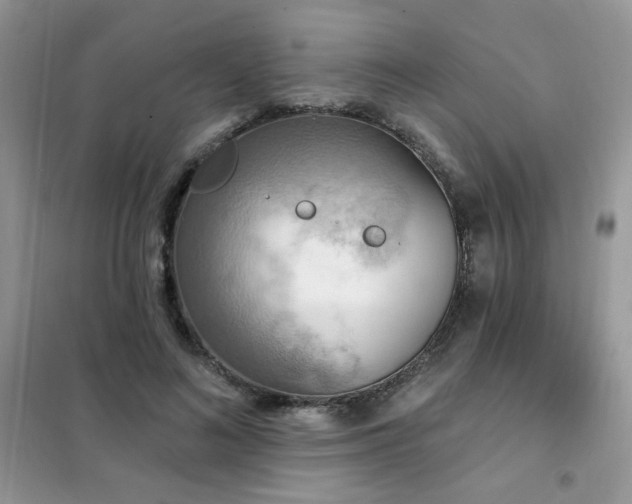 X0000102350692200808011204