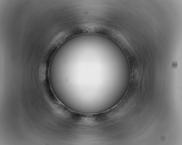 X0000102350694200808011204