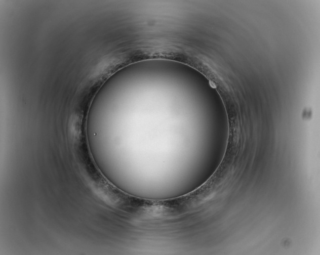 X0000102350695200808011204