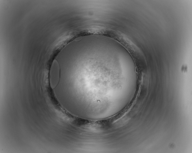 X0000102350696200808011204