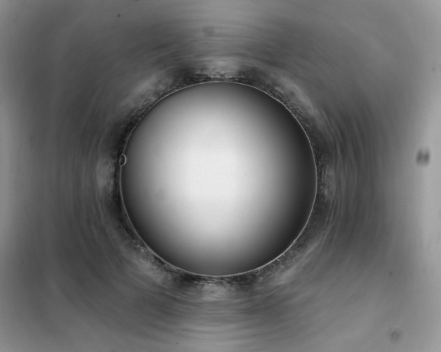 X0000102350697200808011204