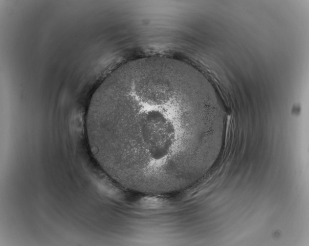 X0000102350699200808011204