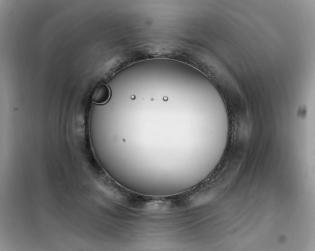 X0000102350700200808011204