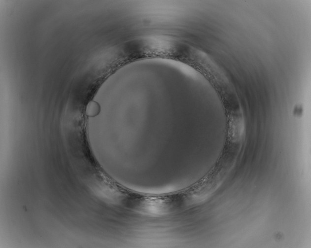 X0000102350701200808011204