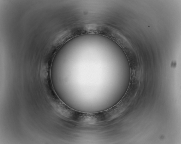 X0000102350702200808011204