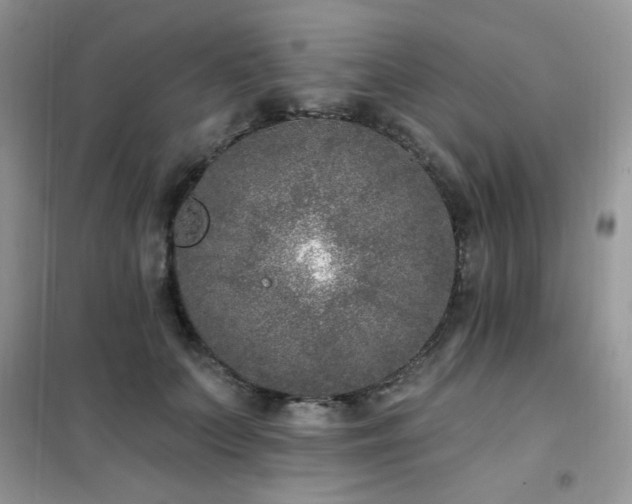 X0000102350703200808011204