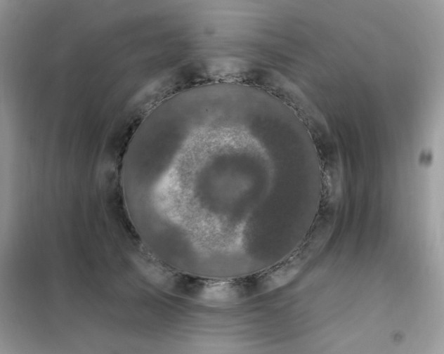 X0000102350705200808011204