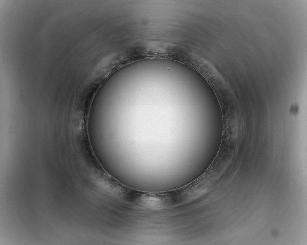 X0000102350706200808011204