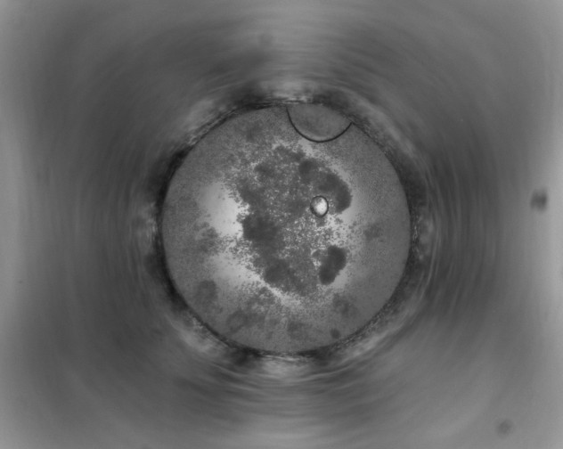 X0000102350707200808011204