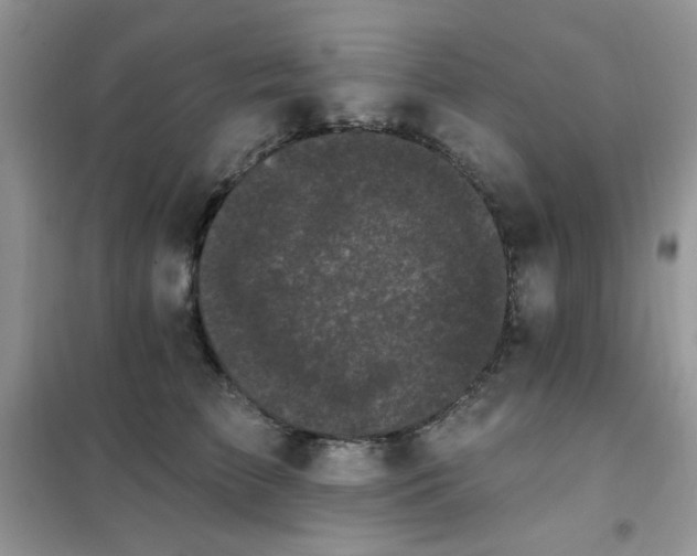 X0000102350709200808011204