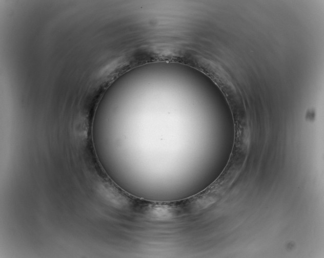 X0000102350710200808011204