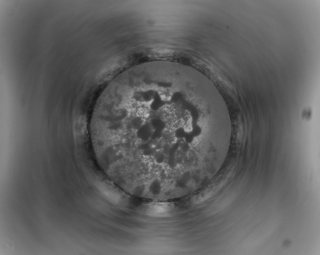 X0000102350711200808011204