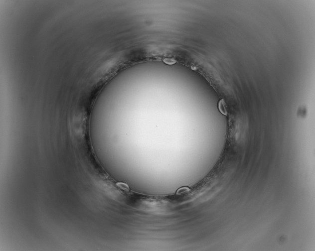 X0000102350712200808011204