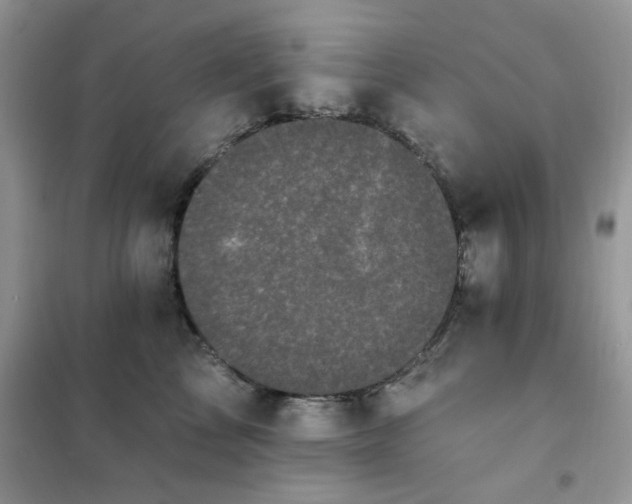 X0000102350713200808011204