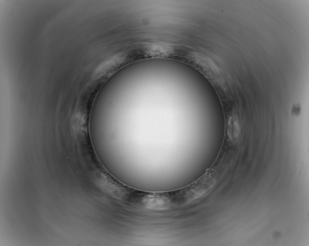 X0000102350714200808011204