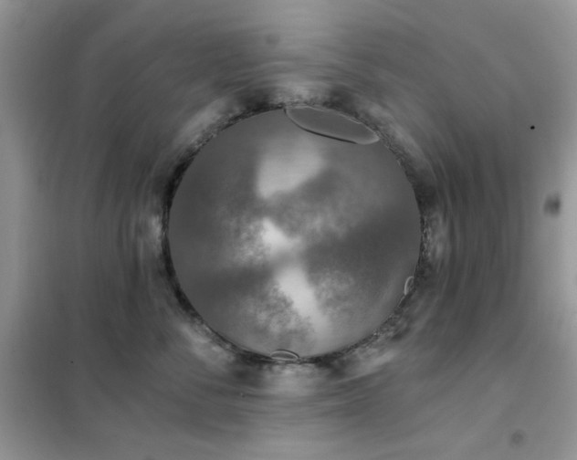 X0000102350716200808011204