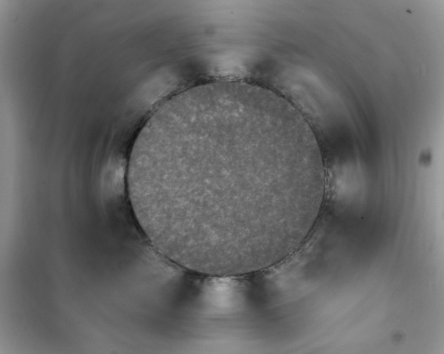 X0000102350717200808011204