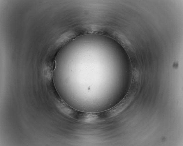 X0000102350719200808011204