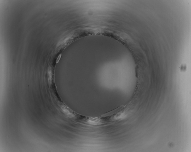 X0000102350720200808011204