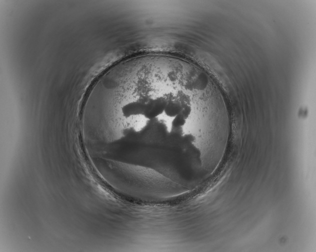 X0000102350721200808011203