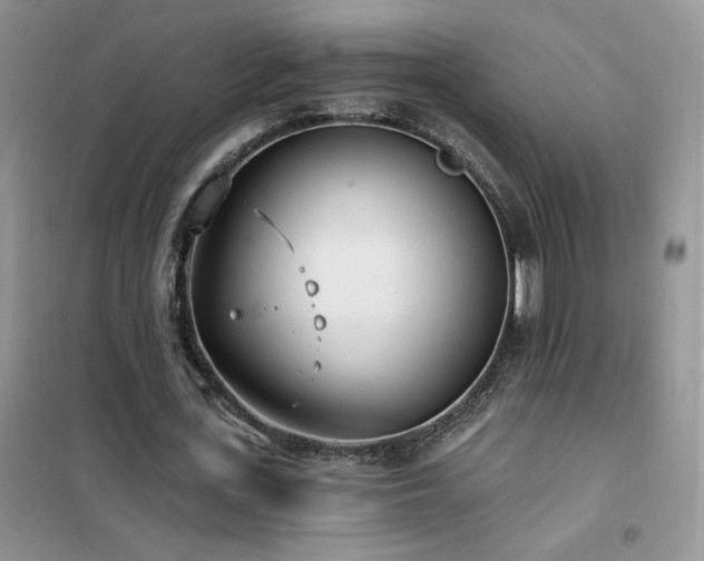 X0000102350723200808011203