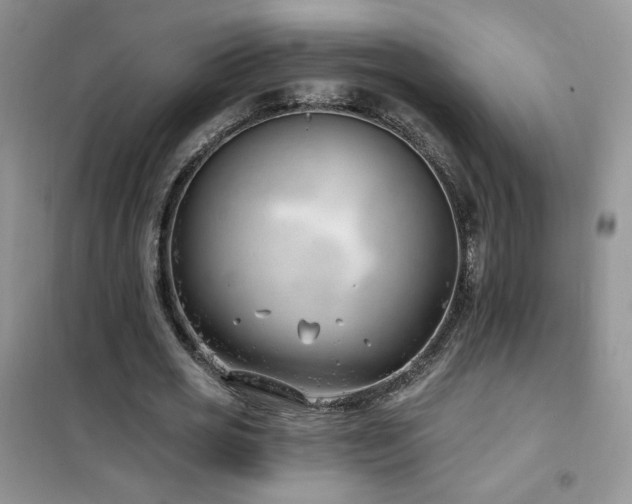 X0000102350725200808011203