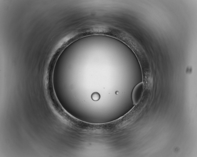 X0000102350726200808011203