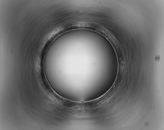 X0000102350727200808011203