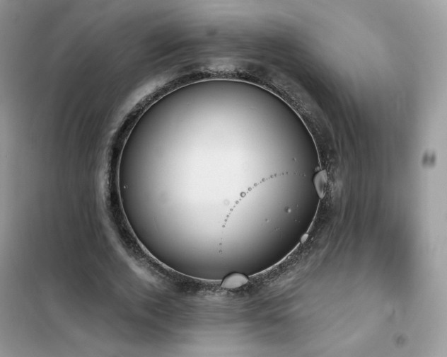 X0000102350728200808011203