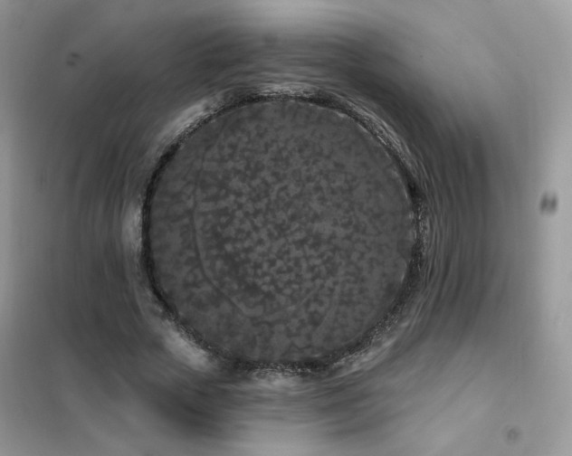 X0000102350729200808011203