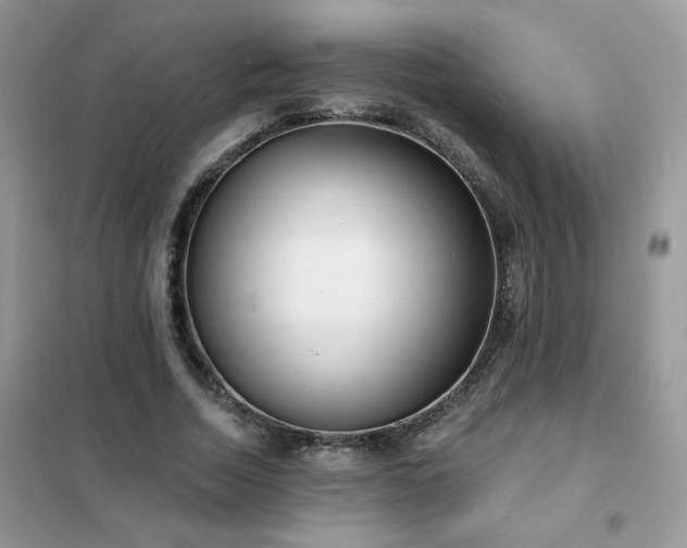 X0000102350730200808011203