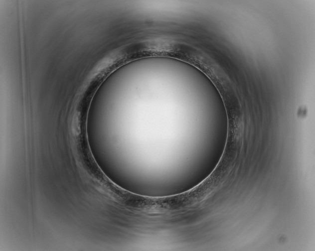 X0000102350731200808011203